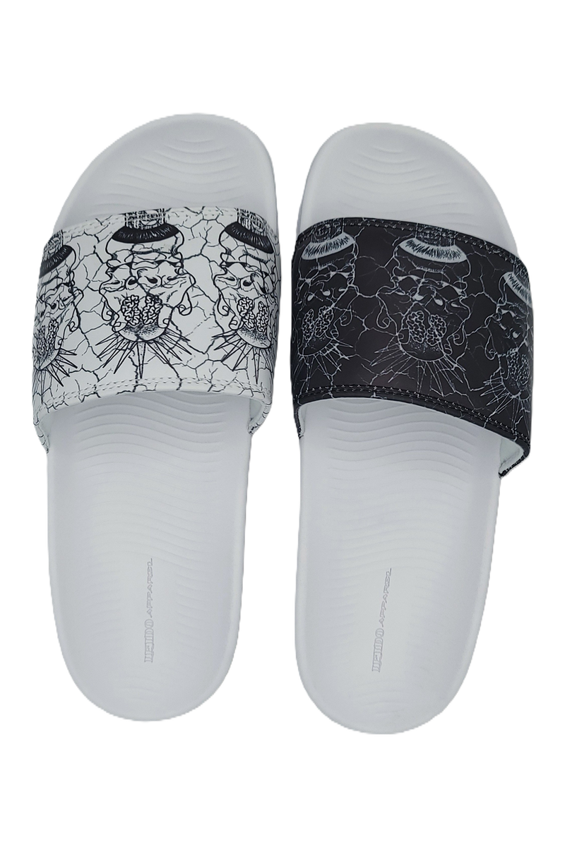 Lunar Slides